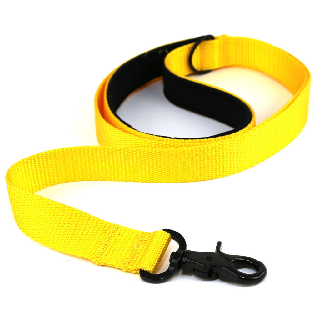 yellow dog leash