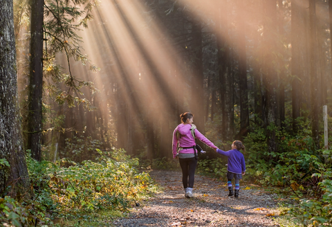 Taking a walk in the forest is a great activity for Earth Day.