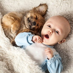 Baby and puppy take a nap