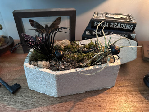 mycelium-critter-coffin-terrarium