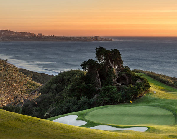 Torrey pines north