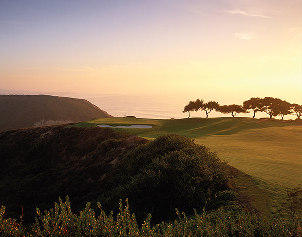 Torrey pines south