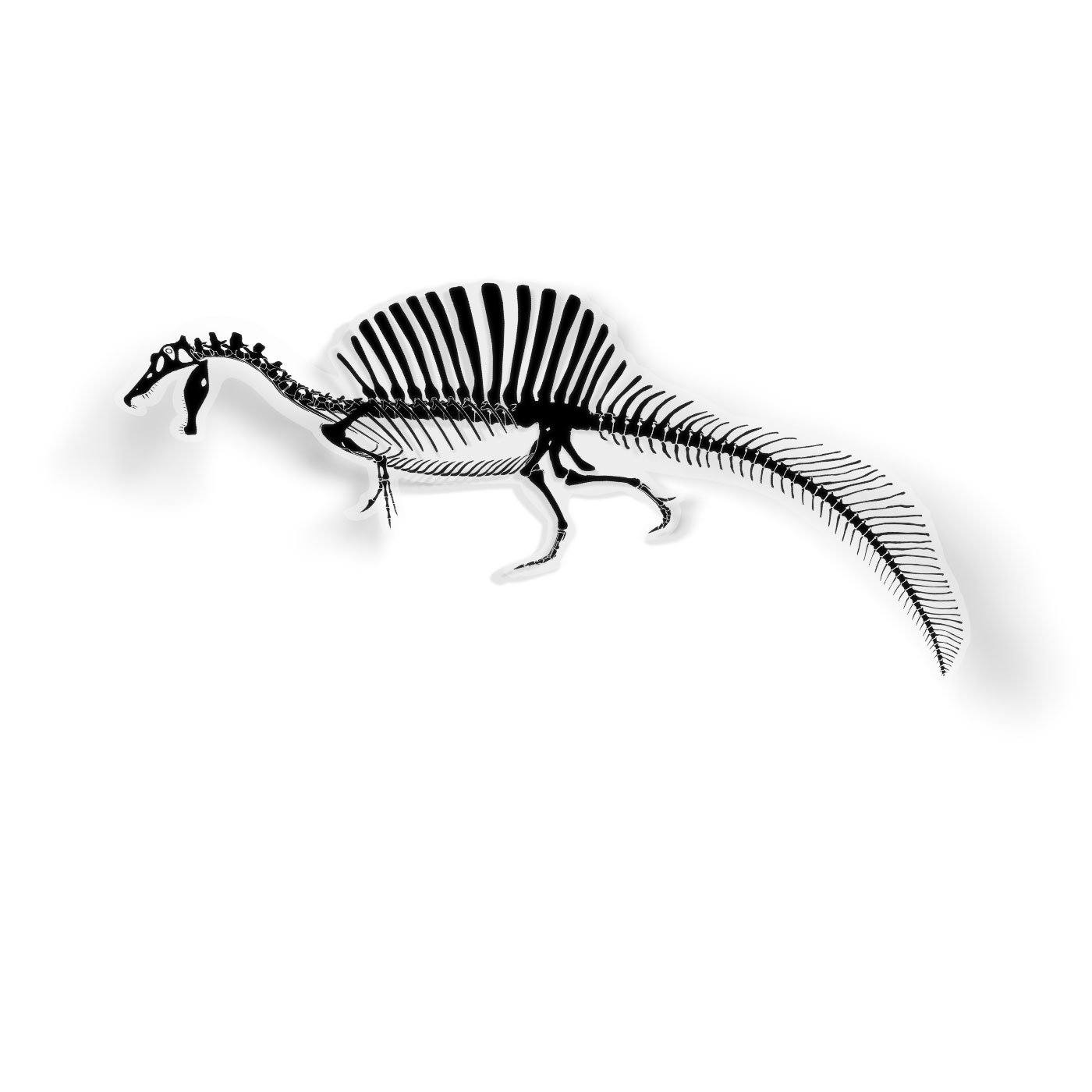 Fossil Spinosaurus Sticker - Fossil Dinosaur Stickers for All Ages – Permia