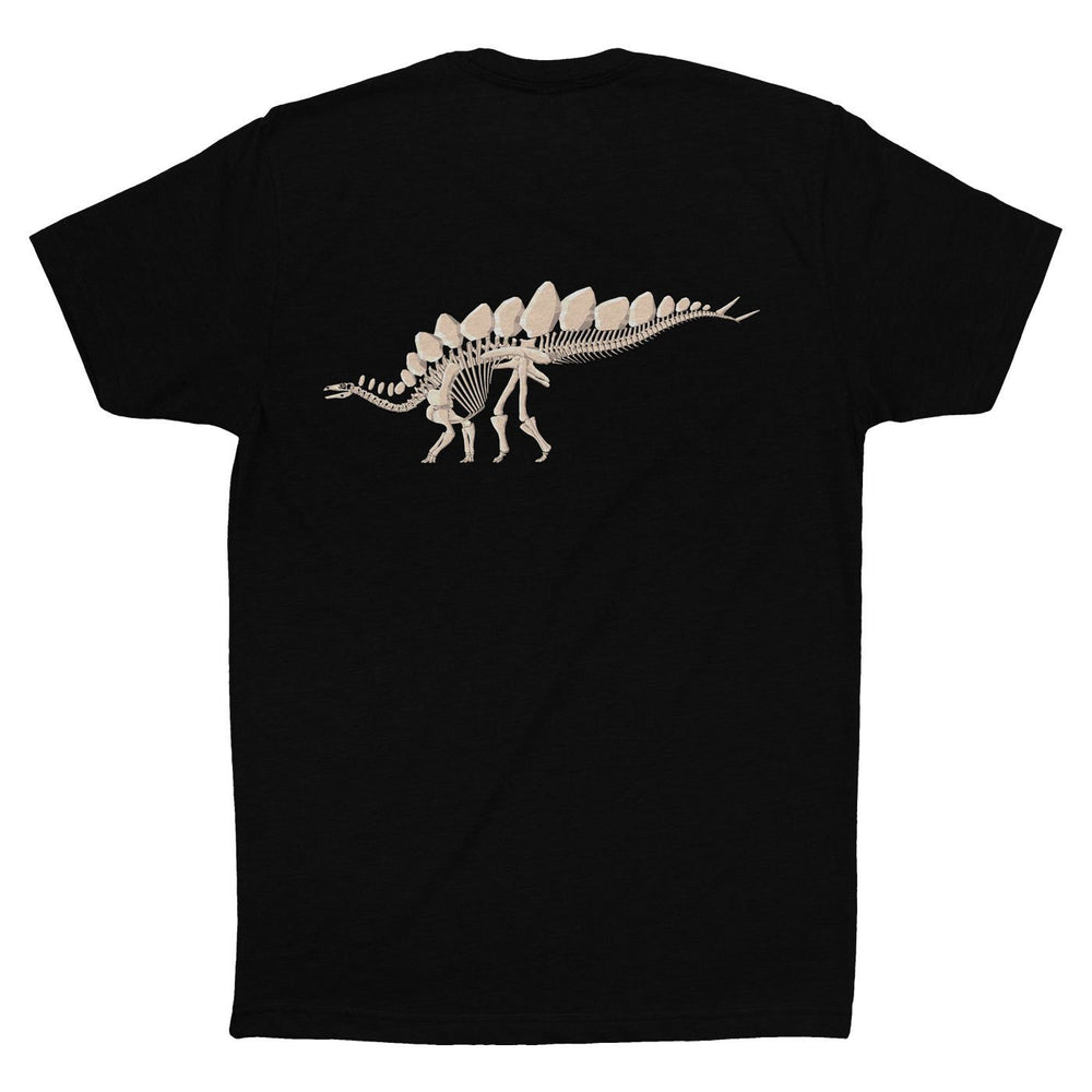 Stegosaurus T-Shirt - Unique Dinosaur Shirts for Adults - XS-2XL – Permia