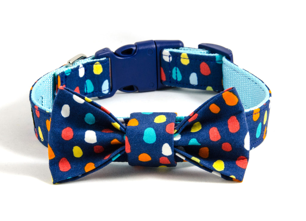 boy dog collars