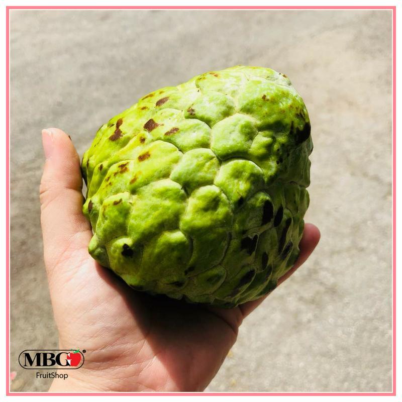 Malaysia Buah Nona Custard Apple 6pcs Set Mbg Fruit Shop