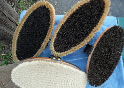clean horse grooming brushes