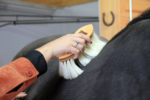 woman brushing horse with a natural flick brush