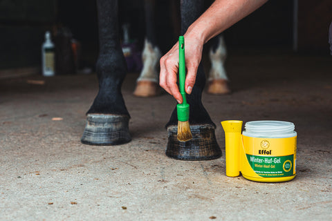 groom applying effol hoof conditioner to a black horse hoof