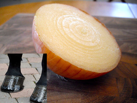 an onion with a horse hoof