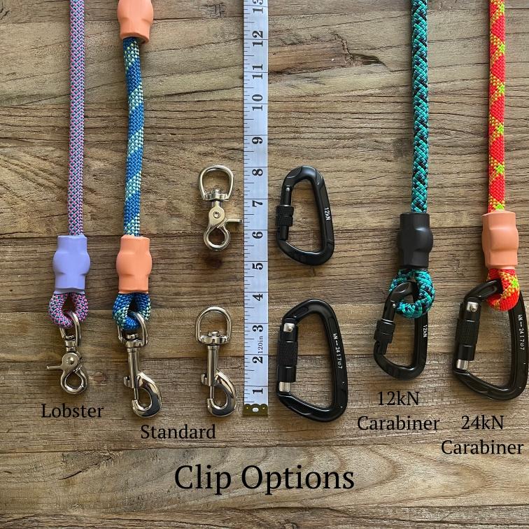 Golden Blue Climbing Rope Leash - Just Pet Products
