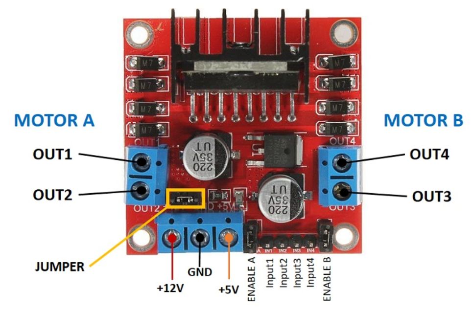 L298n labeled