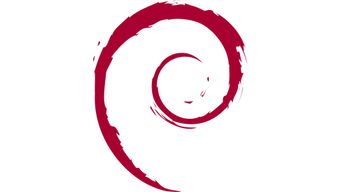 Abbildung 5: Offizielles Raspbian Logo