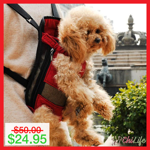 dog backpacks for humans