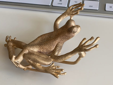 fresh cast of bronze frog