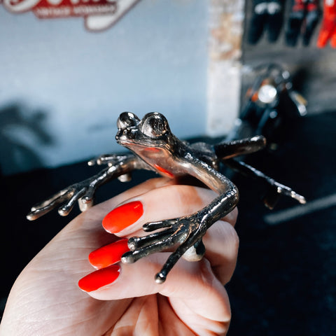 Shiny Bronze Frog