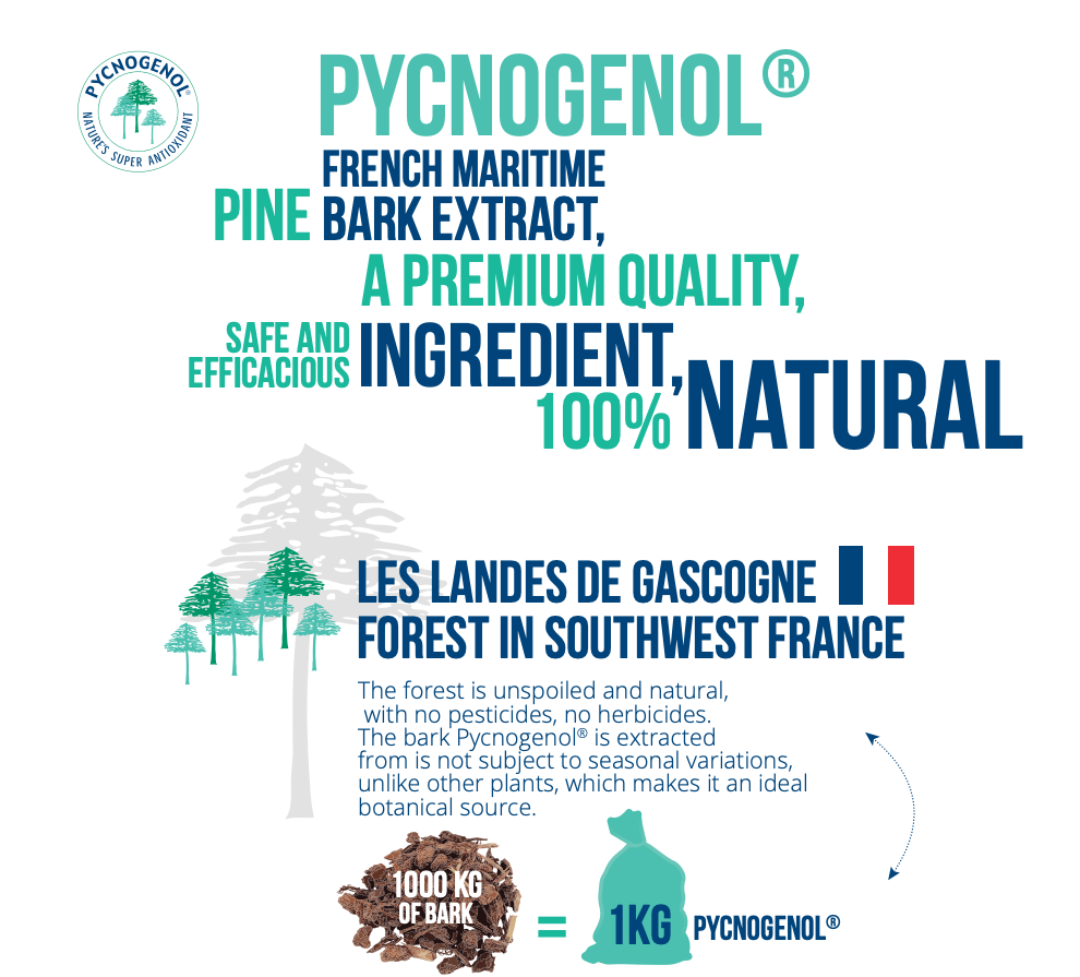 Pycnogenol French Maritime Pine Bark Extract