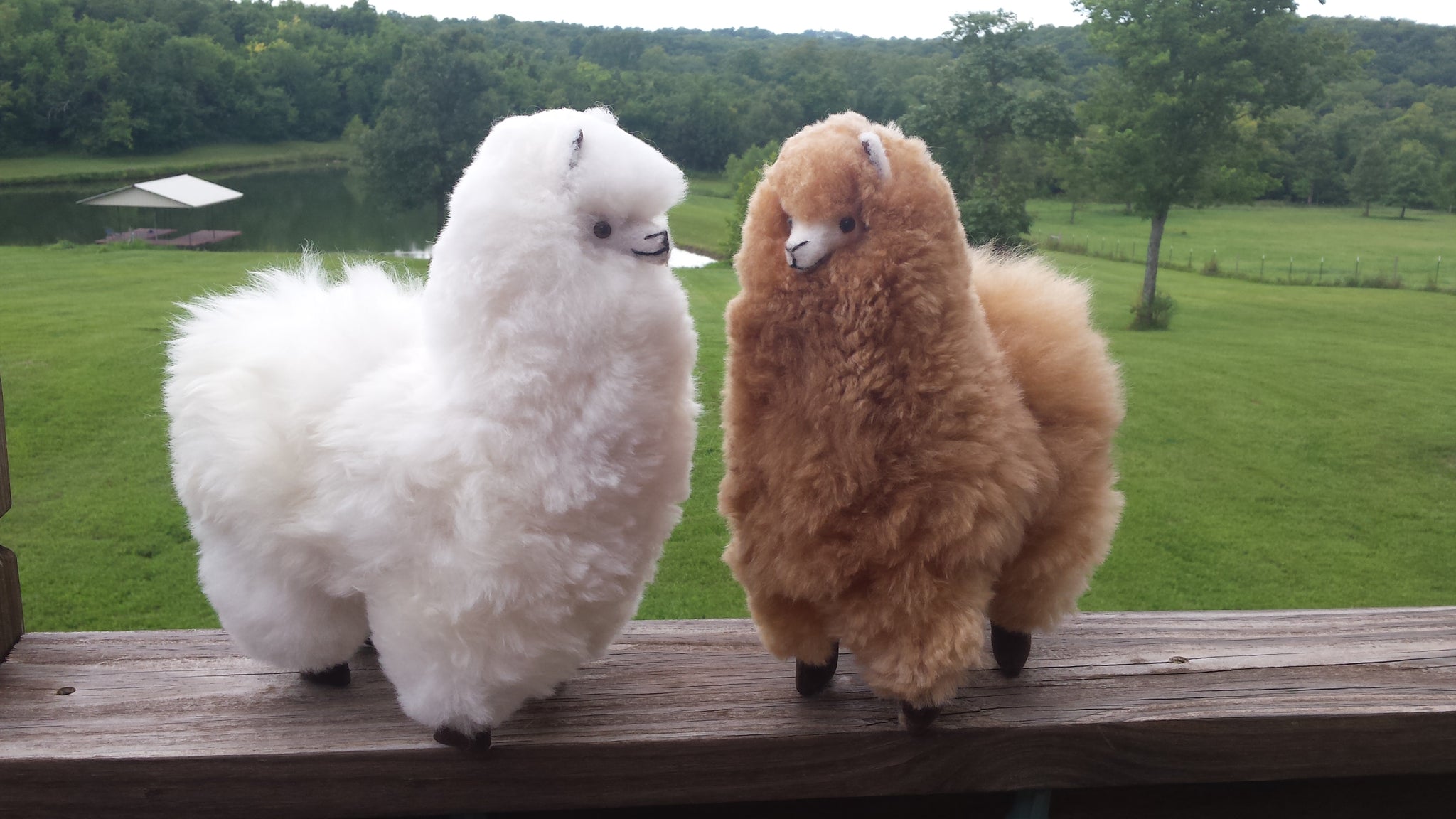 huge alpaca stuffed animal