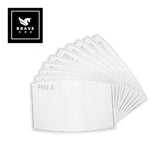 PM2.5 Filter for COVID protection