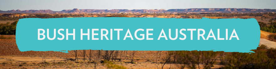 LITTLE URCHIN Sunscreens, Charities we love: Bush Heritage Australia