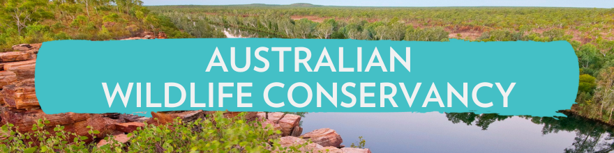 LITTLE URCHIN Sunscreen, Charities we love  Australian Wildlife Conservancy
