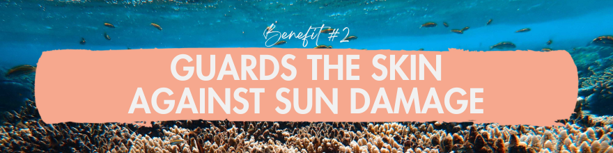 Benefit #2: Guards the skin against sun damage and beyond