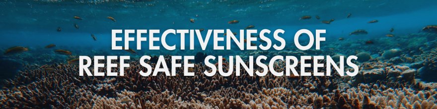 Reef safe sunscreen, ocean friendly sunscreen