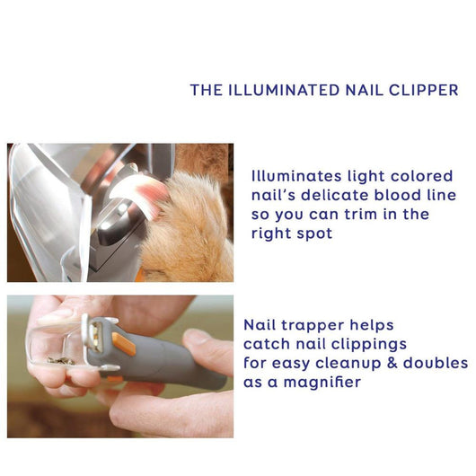 cat nail trimmer with light