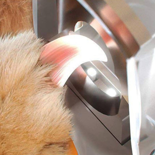 lighted dog nail clippers