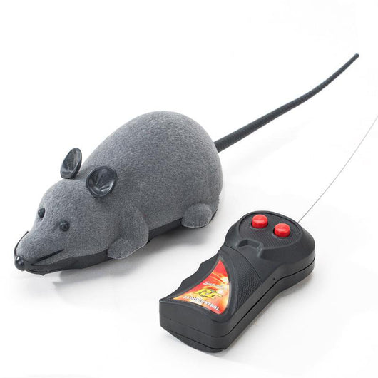 cat toys mouse remote control