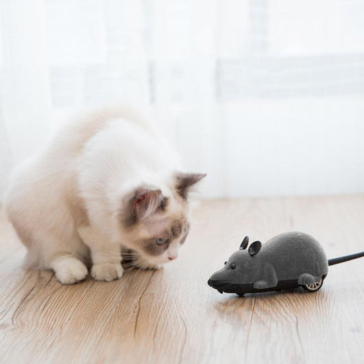 remote mouse for cats