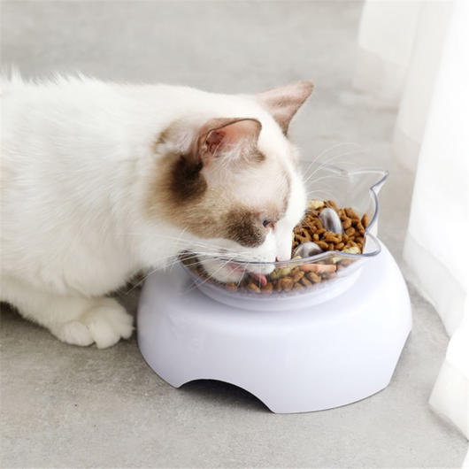 slow feeder cat bowl wet food