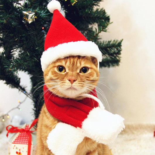 christmas cat costumes
