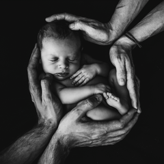 newborn baby being held by parents hands