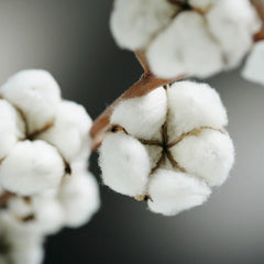 organic cotton muslins