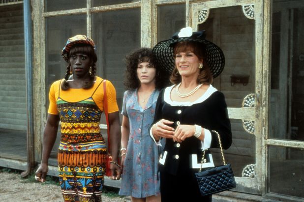 Top 10 crossdressing films, To Wong Foo, Thanks for Everything, Julie Newmar (1995)