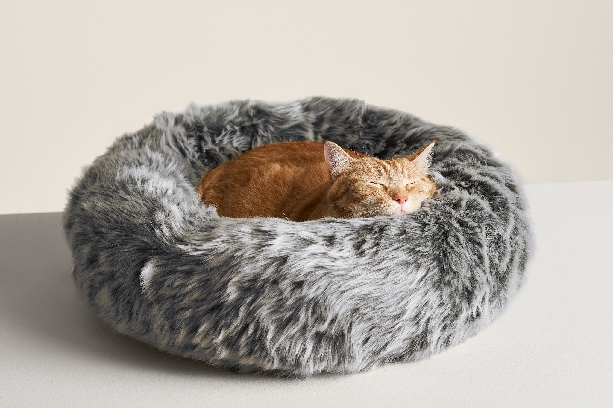 How To Get Your Cat To Use Their Bed – tuft + paw