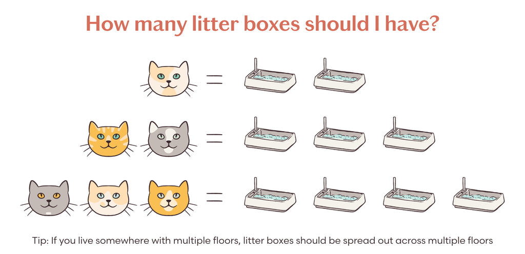 How Many Litter Boxes Should I Have?