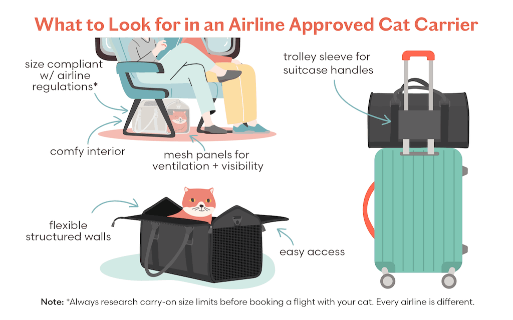 What to Look for in an airline approved cat carrier