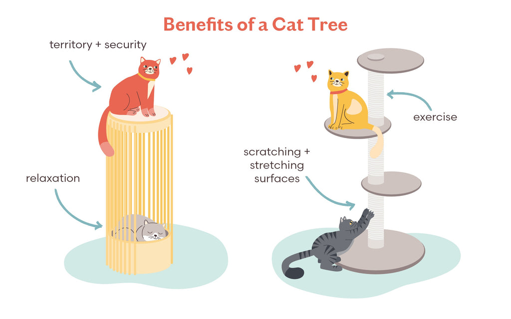 Illustration showing the benefits of a cat tree, including territory and security, relaxation, exercise, and scratching surfaces