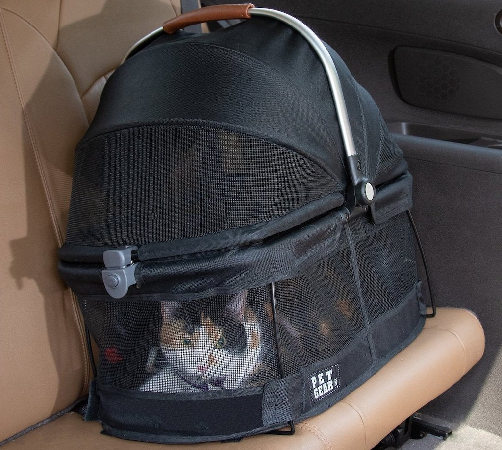 Best Cat Carrier for Long Car Trips – MEWCATS