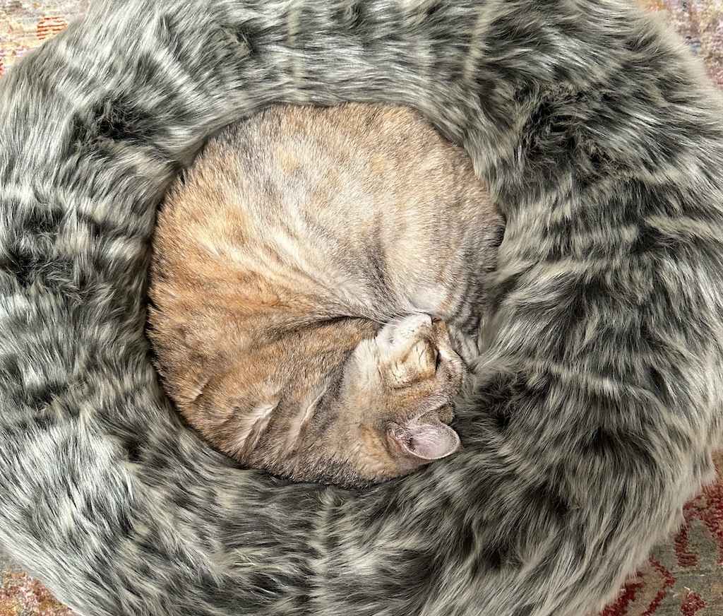 A cat curled up in a tuft + paw Nuzzle Cat Bed