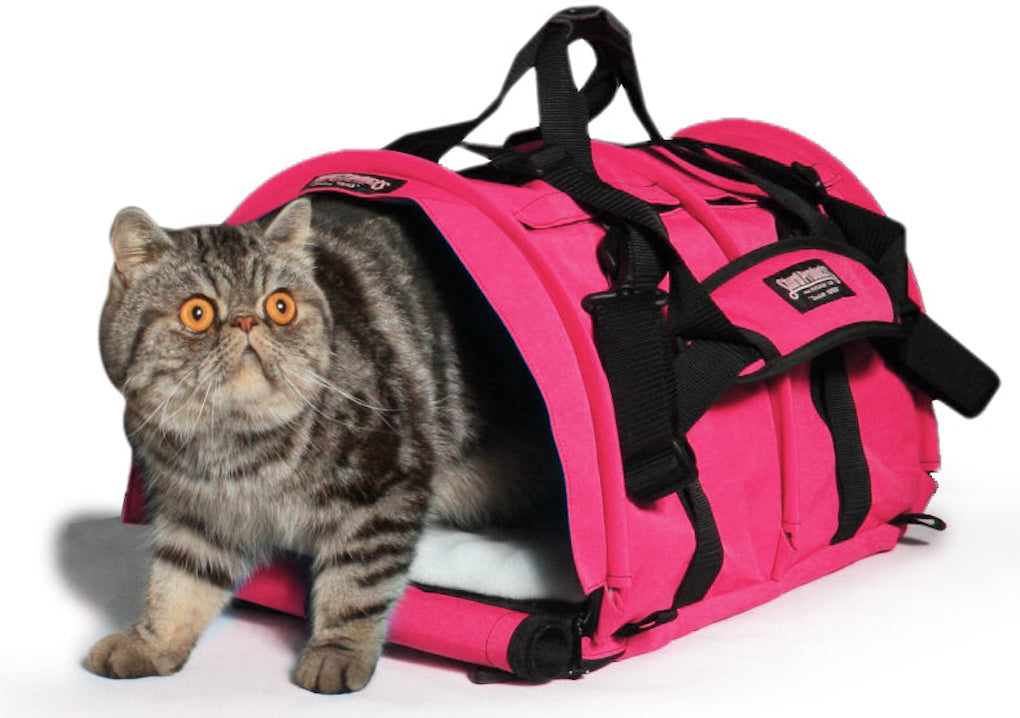 Buy Best Cat Carriers, Bags & Travel Supplies In India
