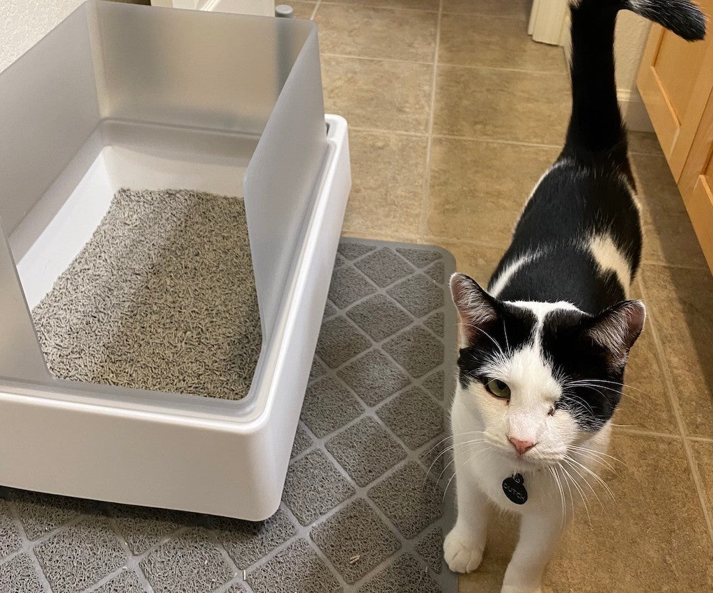 How to Keep Cat Litter from Tracking: 10 Steps (with Pictures)