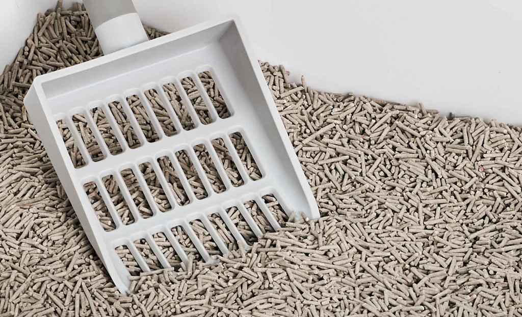 The 3 Best Cat Litter Mats of 2024