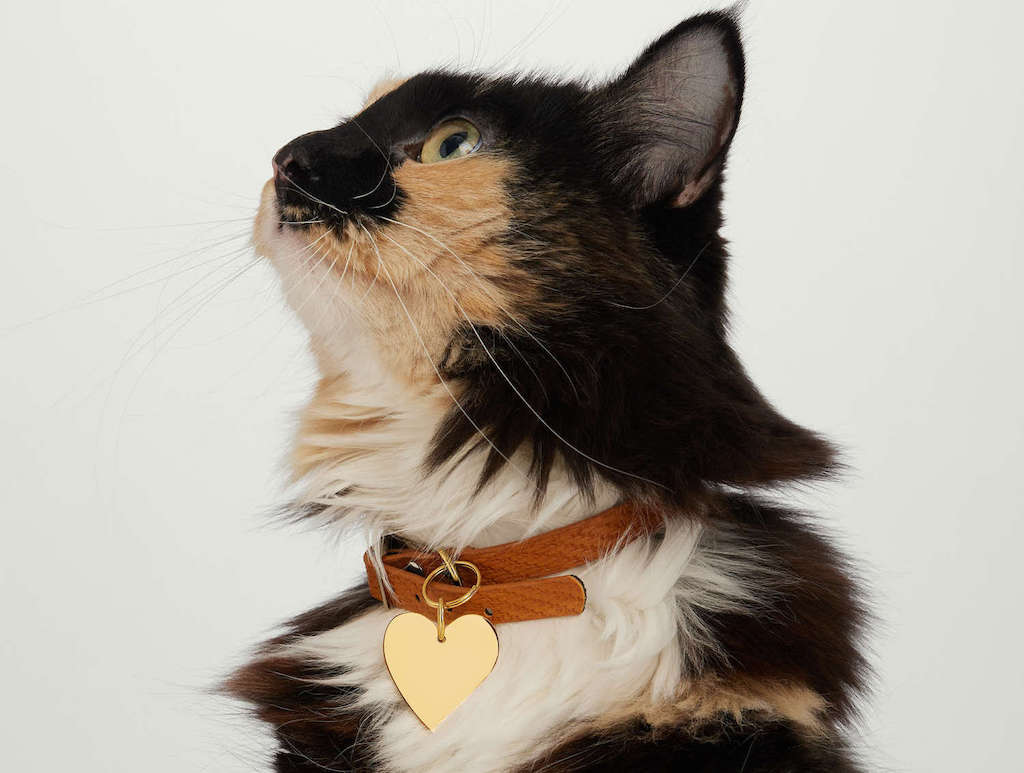 2024 Cat Lovers Gift Guide: 40+ Unique Gifts for Cat Lovers – tuft