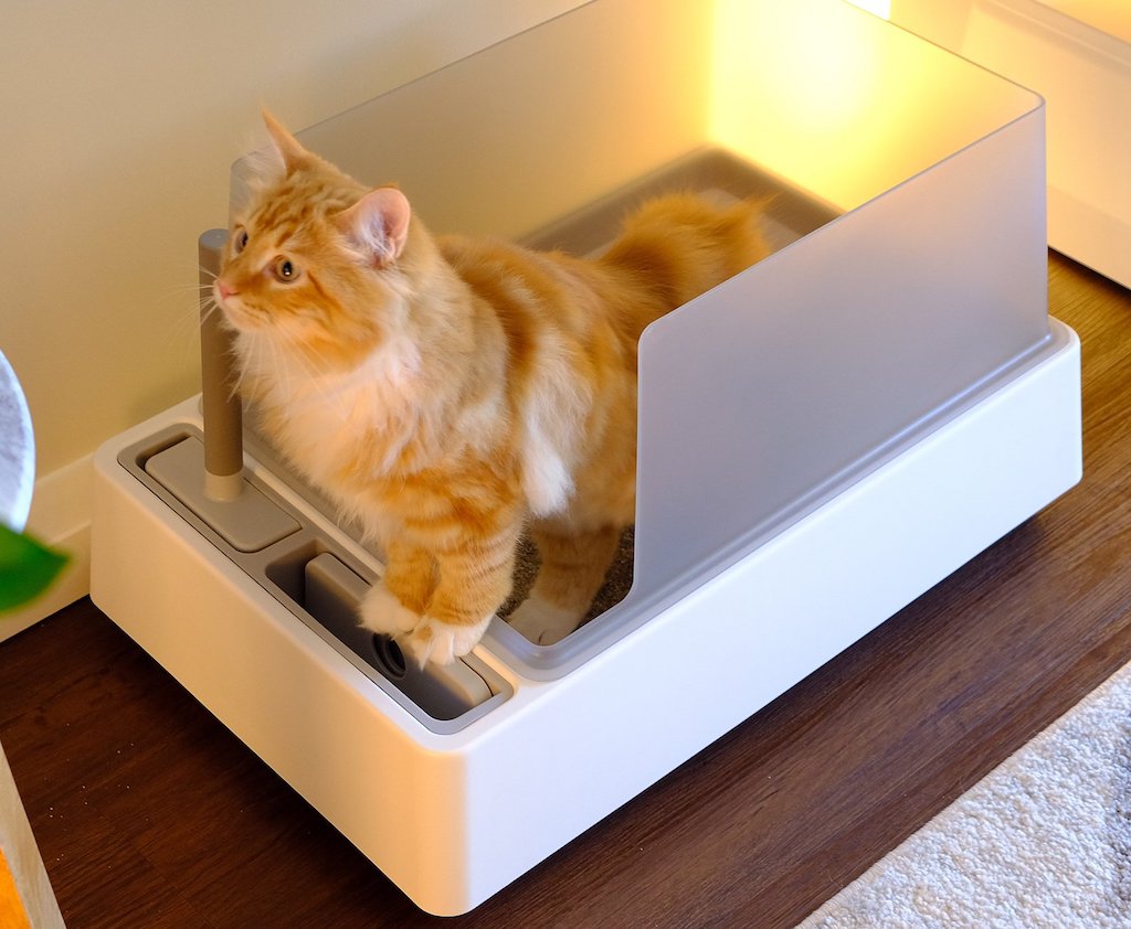 Cove Modern Litter Box by tuft + paw