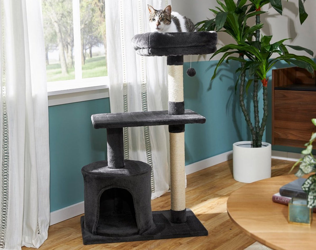 Frisco 38-in Cat Tree with Condo, Top Perch, and Toy
