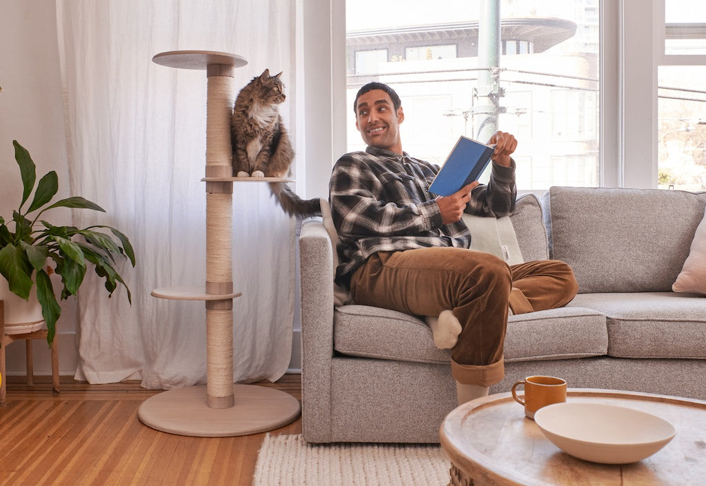 Cat sitting on a Frond Cat Tree by tuft + paw next to a man sitting on a couch