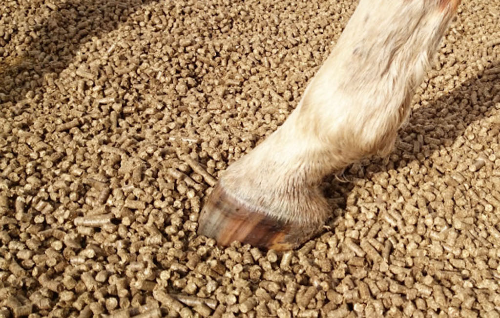 Horse bedding pellets